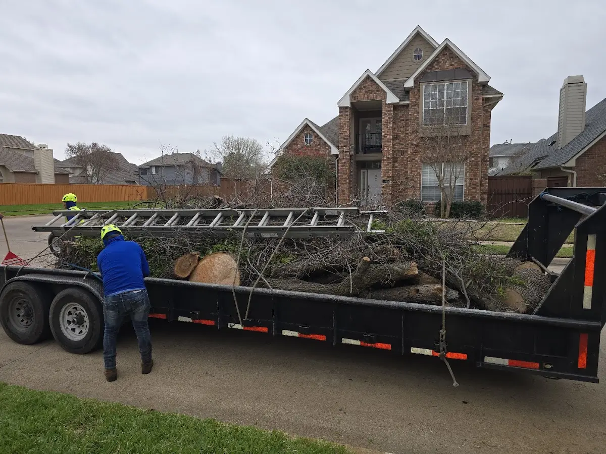 Expert Tree Fertilization with proper safety equipment in Slick